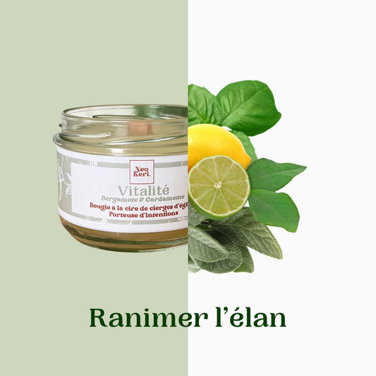 Vitalité - Bergamote & Cardamome