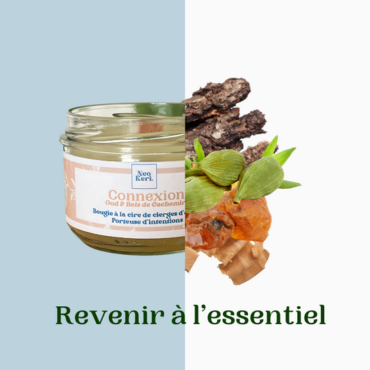 Connexion - Oud & Bois de cachemire